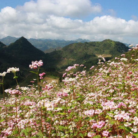 Tour Du Lịch Hà Giang Tháng 10