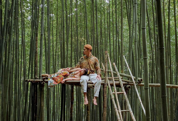 Rừng trúc Mù Cang Chải - Dân mê checkin đừng bỏ qua