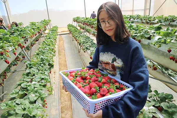 Trải nghiệm mô hình du lịch mới tại Sa Pa