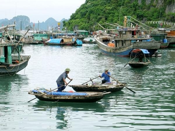 Nên đi du lịch Hạ Long vào mùa nào là hợp lý nhất?