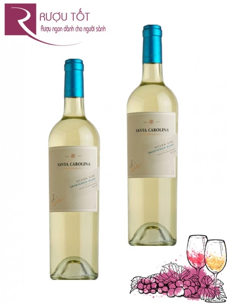 Rượu Vang Chile Specialties Sauvignon Blanc