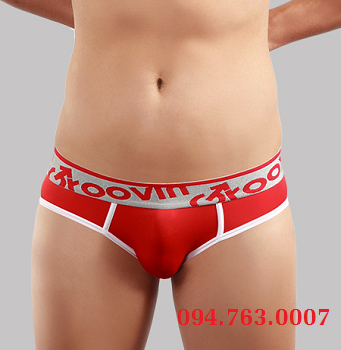 HIP BRIEF ( BF0309 )