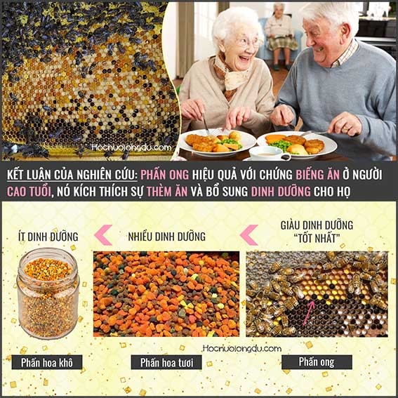 Biếng Ăn Ở Người Lớn, Phấn Ong Thuốc Bổ Thèm Ăn Cho Người Già