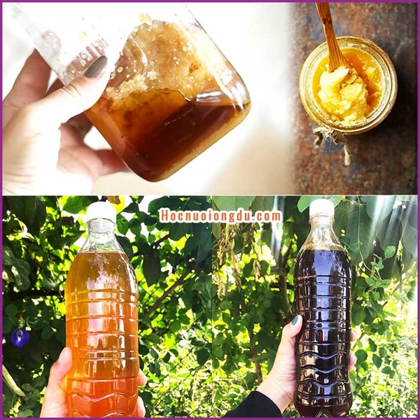 Cách bảo quản mật ong [CHUẨN A - Z] từ dân gian - khoa học