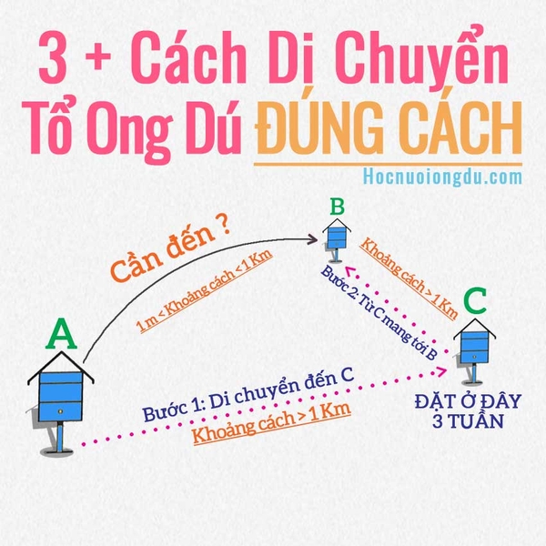 Kinh Nghiệm Nuôi Ong Dú 3 Cách Di Chuyển Tổ Ong Đến Vị Trí Khác
