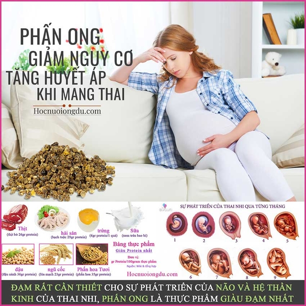 Sử Dụng Phấn Hoa Cho Bà Bầu Được Không [Dinh Dưỡng Mang Thai]