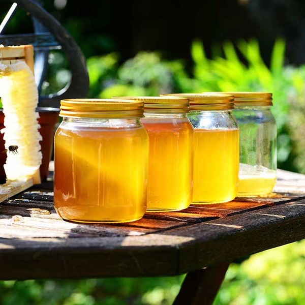 [Chọn] Mật Ong Nguyên Chất Hay Mật Ong Thô Loại Nào Tốt Nhất?