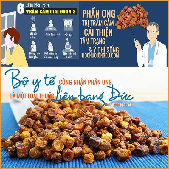 13 Tác Dụng Của Phấn Ong Trong Chữa Bệnh Và Sức Khỏe