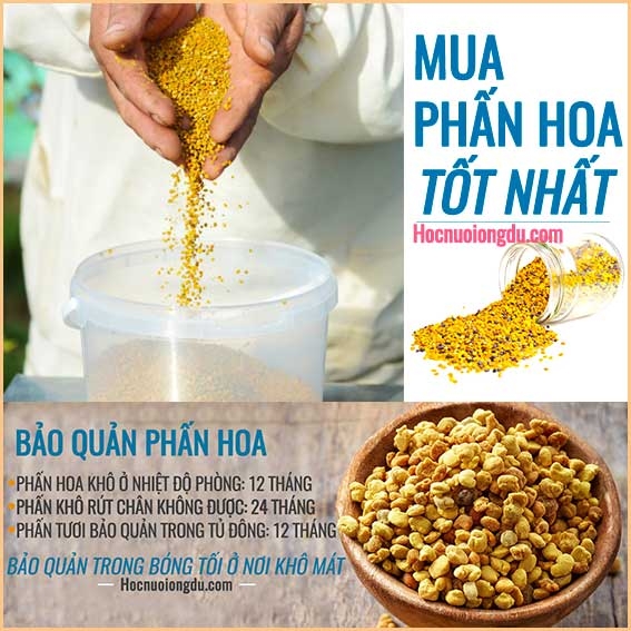 Mua Phấn Hoa Nào Là Tốt Nhất, Cách Bảo Quản Phấn Hoa Tươi