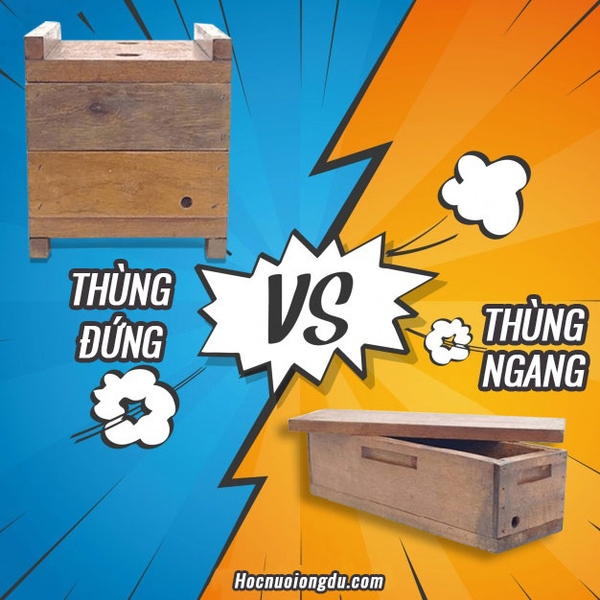 Nuôi Ong Dú, So Sánh Kiểu Thùng Ong Dú Đứng & Thùng Nằm Ngang