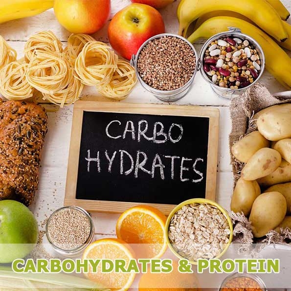 Protein Và Carbohydrat Là Gì? [Nguồn Dinh Dưỡng Đến Từ Tổ Ong]