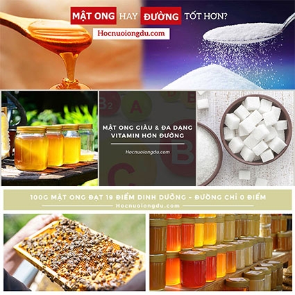 Mật Ong Có Tốt Hơn Đường? [So Sánh Thành Phần Mật Ong Và Đường]