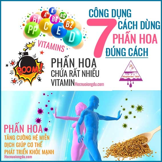 7 Công Dụng Của Phấn Hoa Và Cách Sử Dụng Phấn Hoa Đúng Cách