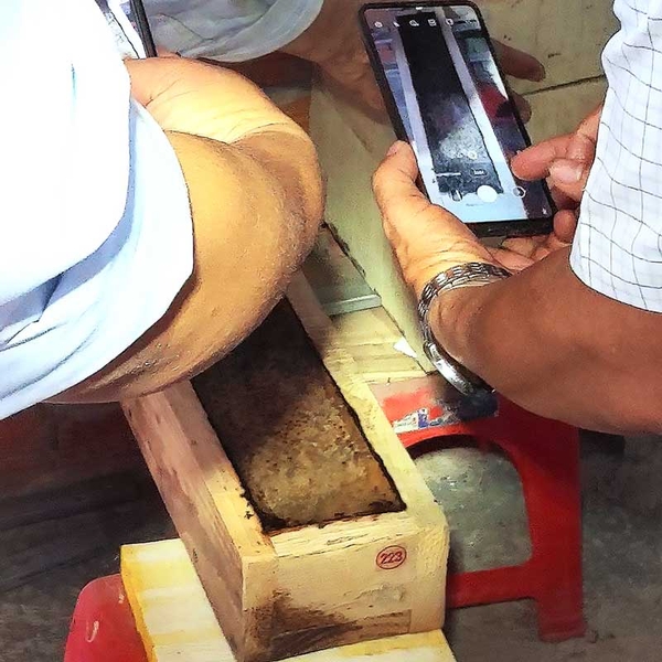 Tham quan trại ong dú JiChi cùng PGS.TS PHẠM HỒNG THÁI