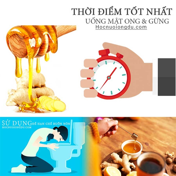 【Uống gừng mật ong vào lúc nào】 Có nên uống trước khi đi ngủ?