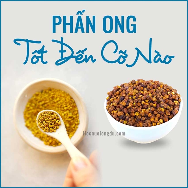 Uống Phấn Hoa Và Phấn Ong [Tốt Cỡ Nào] Ở Đâu Bán Phấn Ong?