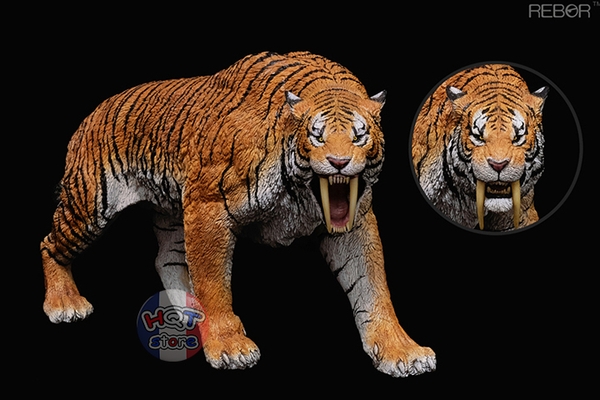 Mô hình Hổ Răng Kiếm Smilodon Rebor Year Of The Tiger Limited