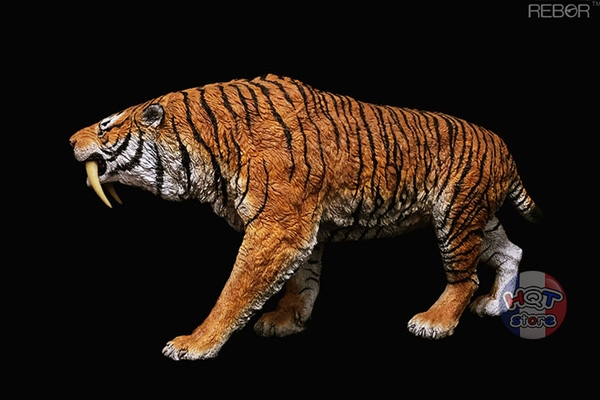 Mô hình Hổ Răng Kiếm Smilodon Rebor Year Of The Tiger Limited