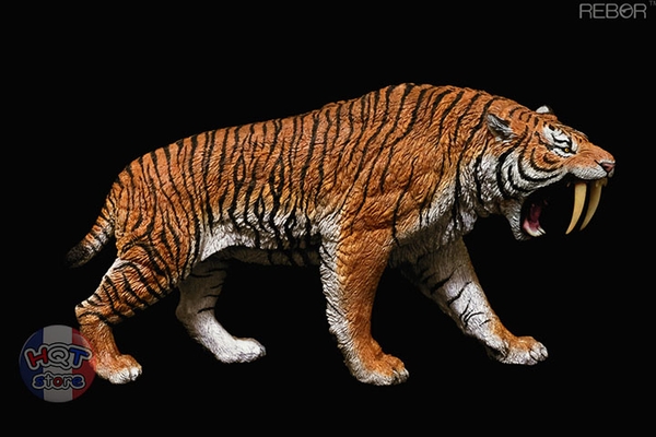 Mô hình Hổ Răng Kiếm Smilodon Rebor Year Of The Tiger Limited