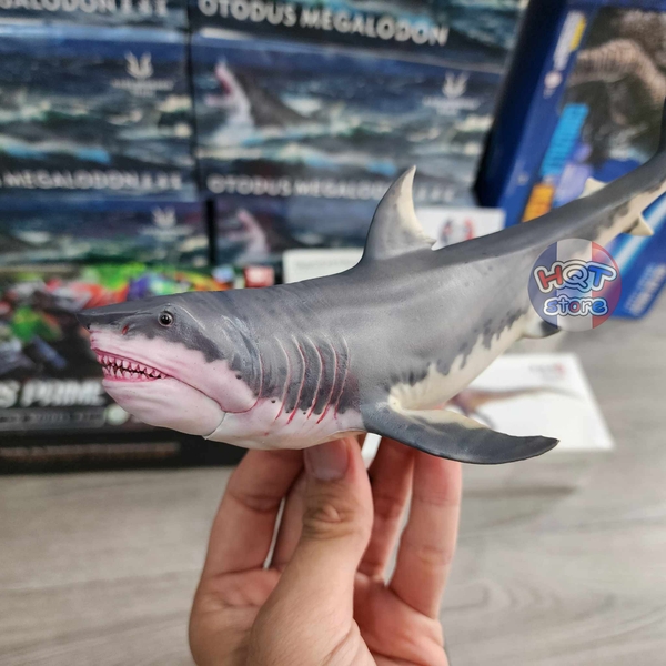 Mô hình Cá Mập Cổ Đại Megalodon Haolonggood tỉ lệ 1/35