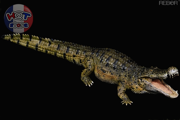 Mô Hình Cá Sấu Tiền Sử Deinosuchus Hatcheri REBOR Swamp Estuary tỉ lệ 1/35