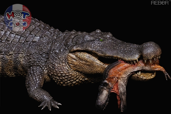 Mô Hình Cá Sấu Tiền Sử Deinosuchus Hatcheri REBOR Swamp Estuary tỉ lệ 1/35 Mô Hình Cá Sấu Tiền Sử Deinosuchus Hatcheri Rebor Swamp Estuary Tỉ Lệ 1/35