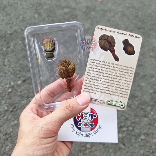 Mô hình hoá thạch vẩy gai răng khủng long Ankylosaurus CollectA 89287