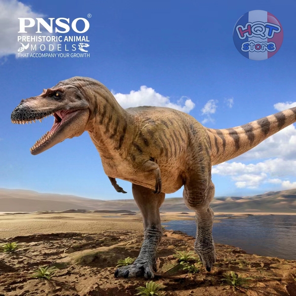 Mô hình khủng long Albertosaurus PNSO 72 Wally tỉ lệ 1/35