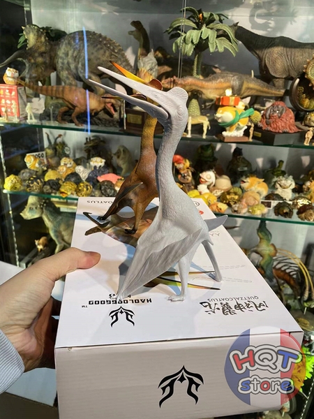 Mô hình Khủng Long Bay Quetzalcoatlus HAOLONGGOOD tỉ lệ 1/35 chính hãng