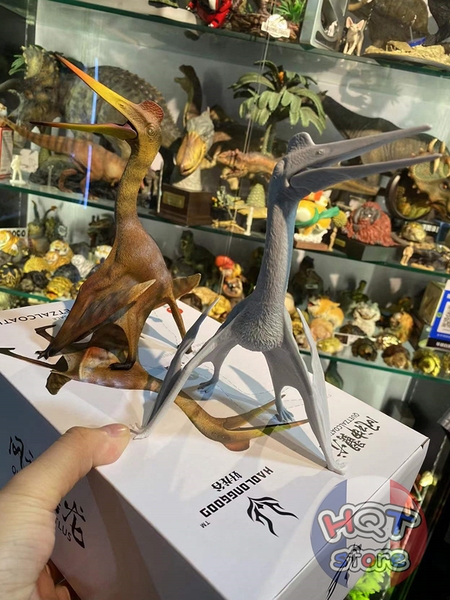 Mô hình Khủng Long Bay Quetzalcoatlus HAOLONGGOOD tỉ lệ 1/35 chính hãng