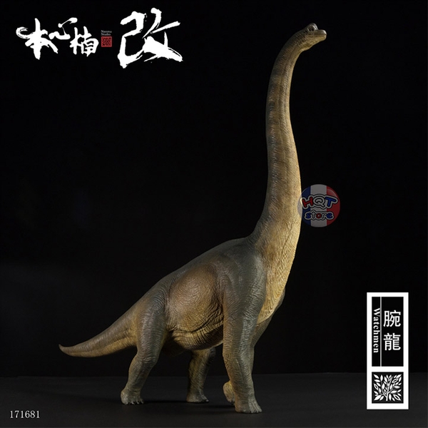 Mô hình khủng long Brachiosaurus Nanmu tỉ lệ 1/35 chính hãng (PVC)