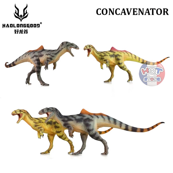 Mô hình Khủng Long Concavenator Haolonggood tỉ lệ 1/35