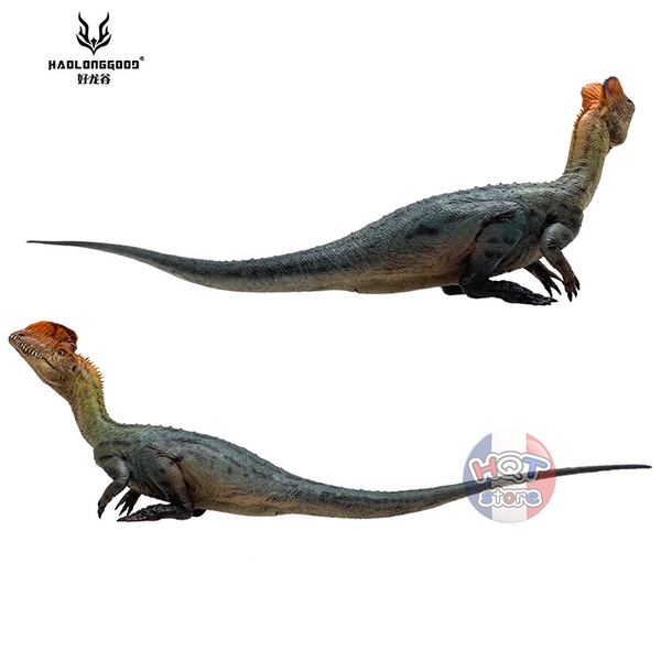 Mô hình Khủng Long Dilophosaurus Haolonggood tỉ lệ 1/35