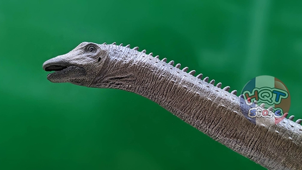 Mô Hình Khủng Long Diplodocus Rebor tỉ lệ 1/35 chính hãng