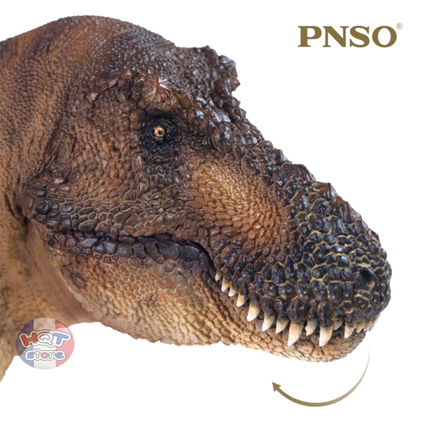 Mô hình Khủng Long T-Rex Andrea PNSO 2021 Tyrannosaurus tỉ lệ 1/35
