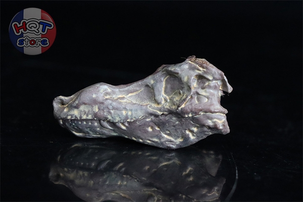 Mô hình Khủng Long T-Rex Cameron PNSO 2023 Tyrannosaurus Rex 1/35
