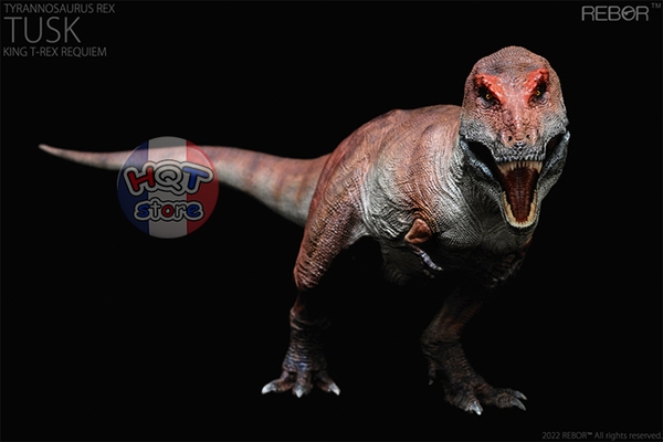 Mô Hình Khủng Long T-Rex Tusk Kiss REBOR tỉ lệ 1/35 (Tyrannosaurus Rex)