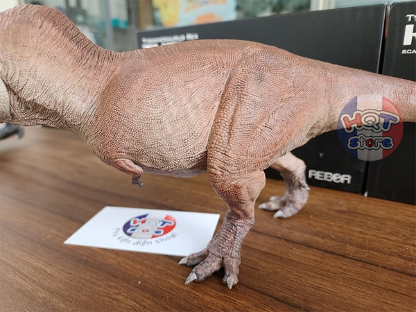 Mô Hình Khủng Long T-Rex Tusk Kiss REBOR tỉ lệ 1/35 (Tyrannosaurus Rex)