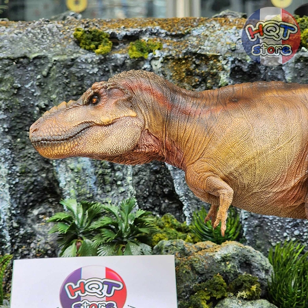 Mô hình khủng long T-Rex W-Dragon Tyrannosaurus Rex tỉ lệ 1/35