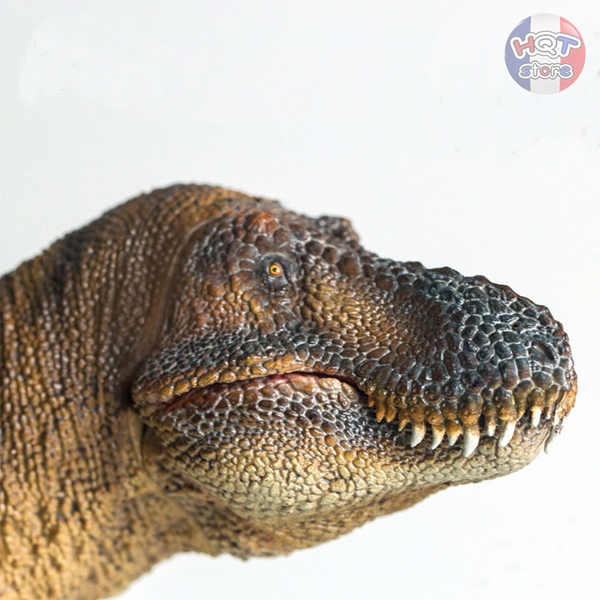 Mô hình Khủng Long T-Rex Wilson PNSO 2021 Tyrannosaurus tỉ lệ 1/35