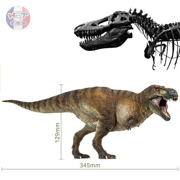 Mô hình Khủng Long T-Rex Wilson PNSO 2021 Tyrannosaurus tỉ lệ 1/35