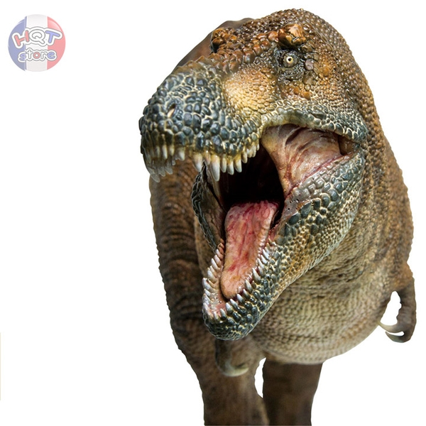 Mô hình Khủng Long T-Rex Wilson PNSO 2021 Tyrannosaurus tỉ lệ 1/35