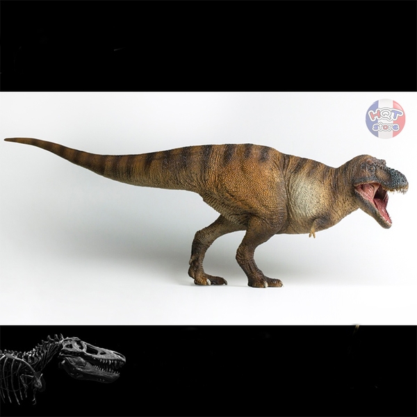 Mô hình Khủng Long T-Rex Wilson PNSO 2021 Tyrannosaurus tỉ lệ 1/35