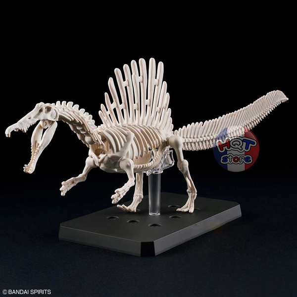 Mô hình lắp ráp khủng long Spinosaurus Planosaurus 05 Bandai Model Kit