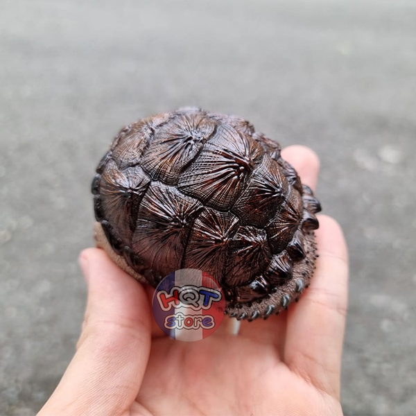 Mô hình Rùa CHELYDRA OSCEOLA Snapping Turtle Animal Planet