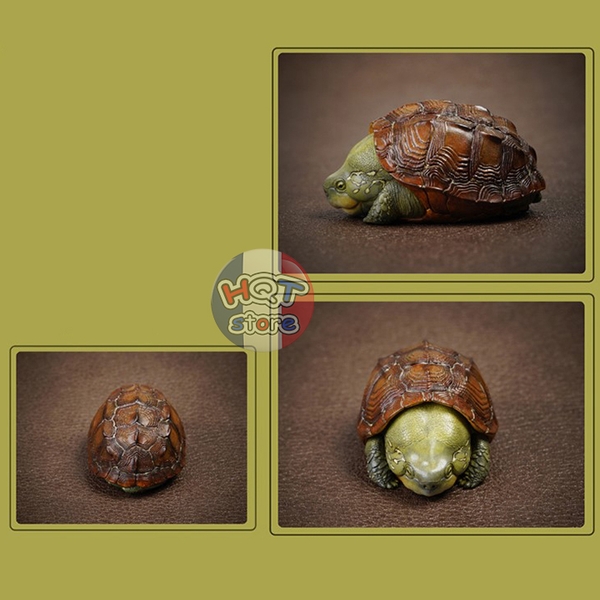 Mô hình Rùa CHINEMYS MEGALOCEPHALA Turtle Animal Planet