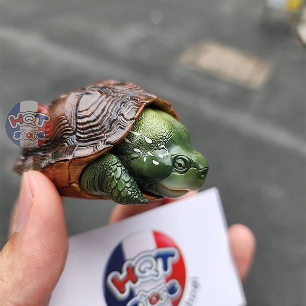 Mô hình Rùa CHINEMYS MEGALOCEPHALA Turtle Animal Planet