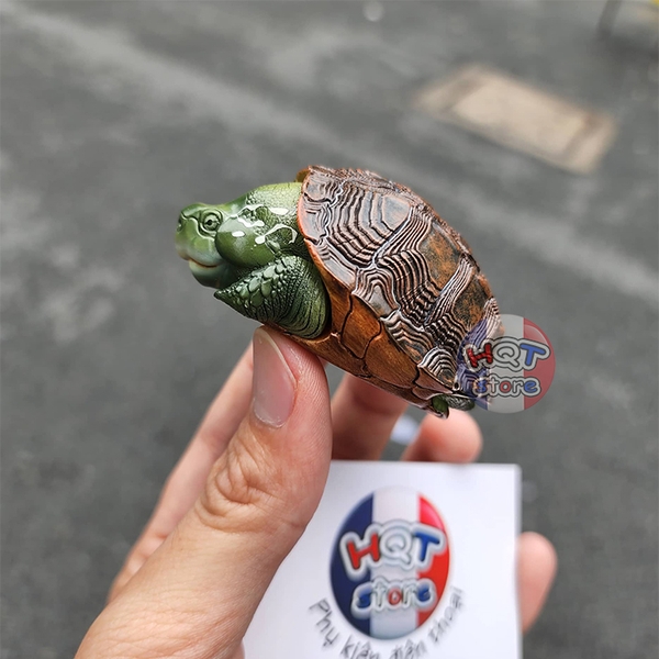 Mô hình Rùa CHINEMYS MEGALOCEPHALA Turtle Animal Planet