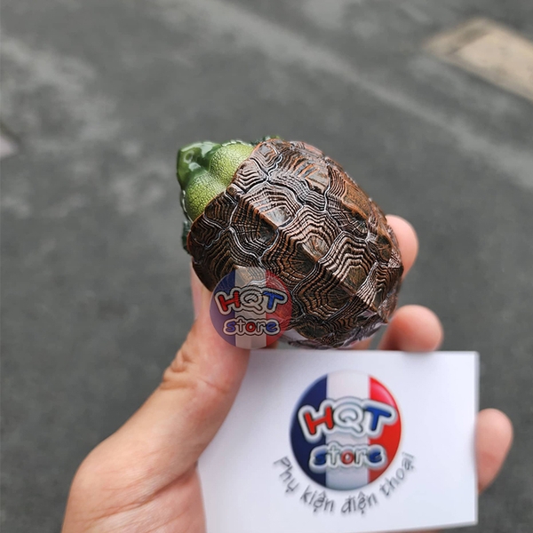 Mô hình Rùa CHINEMYS MEGALOCEPHALA Turtle Animal Planet