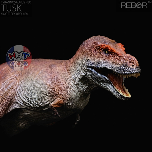 Mô Hình Khủng Long T-Rex Tusk Kiss REBOR tỉ lệ 1/35 (Tyrannosaurus Rex)